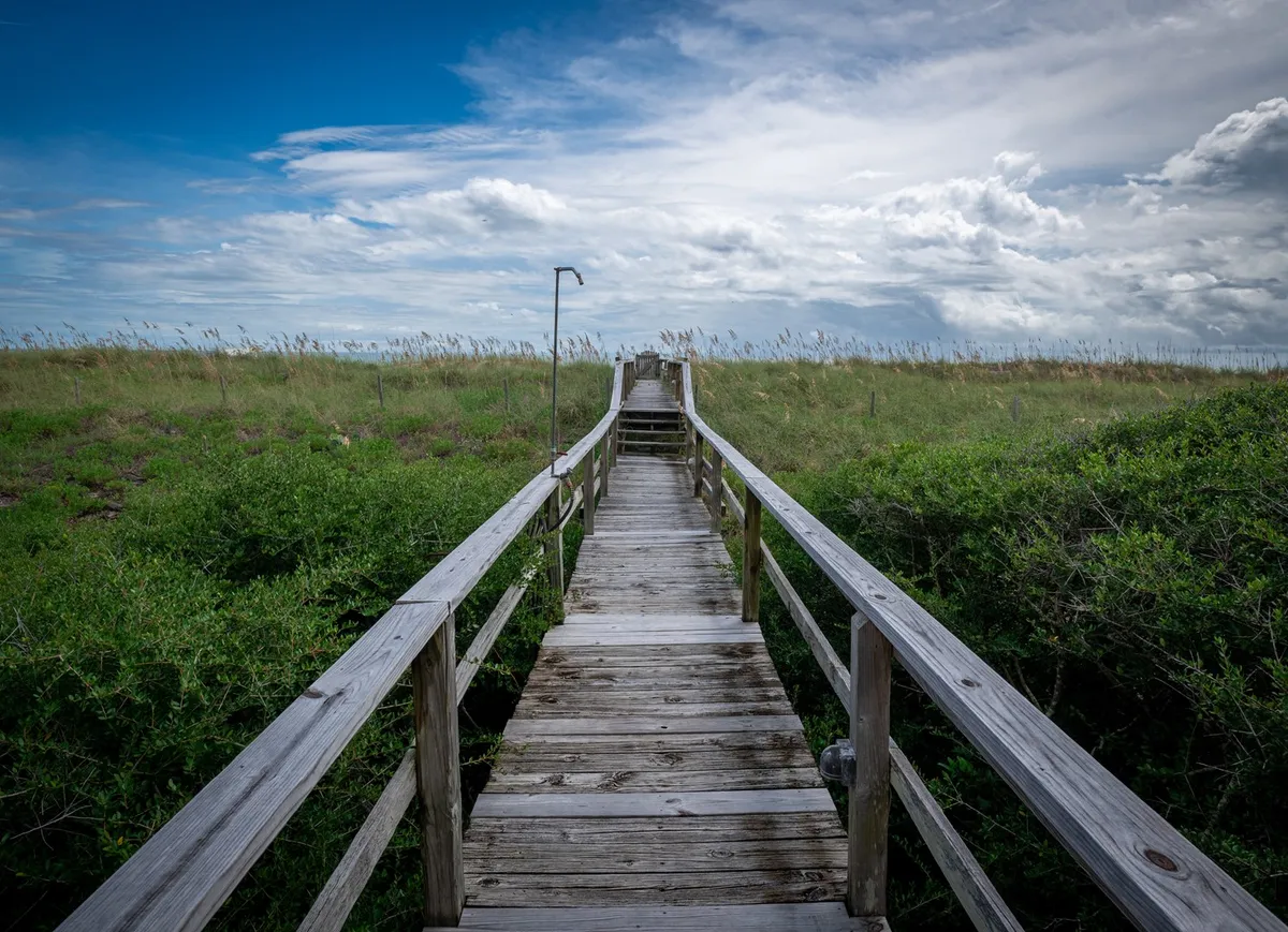 This image shows a classic wooden boardwalk stretching through lush green vegetation, leading toward an open sky. The boardwalk is inviting, evoking the sense of setting off toward the lively Carolina Beach Boardwalk just beyond. The natural setting creates a tranquil transition from private cottage to public fun.